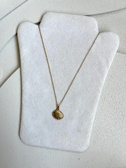 Collana Conchiglia 1