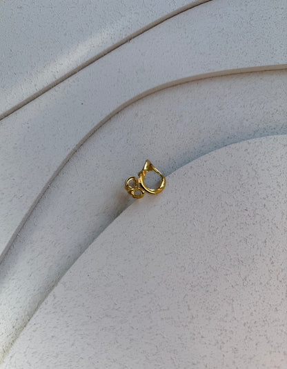 Anello Astratto