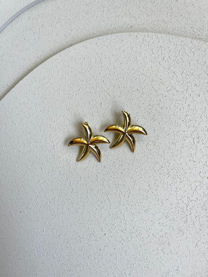 Orecchini Stella