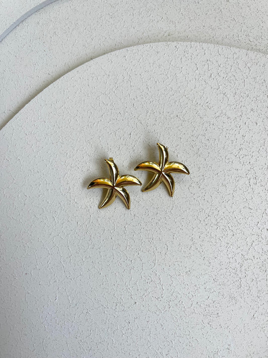 Orecchini Stella