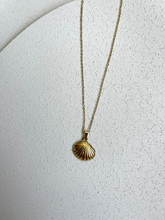 Collana Conchiglia 1