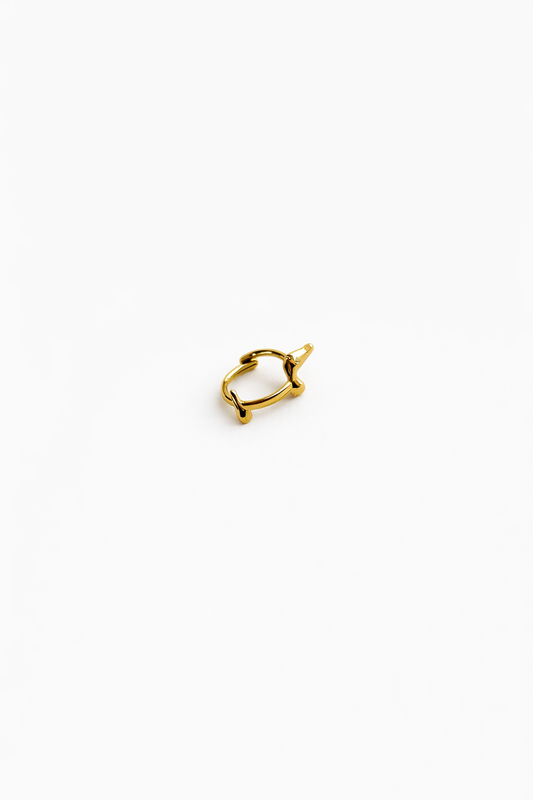 Anello Bassotto