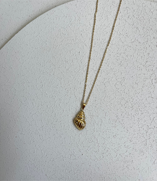 Collana Conchiglia 2